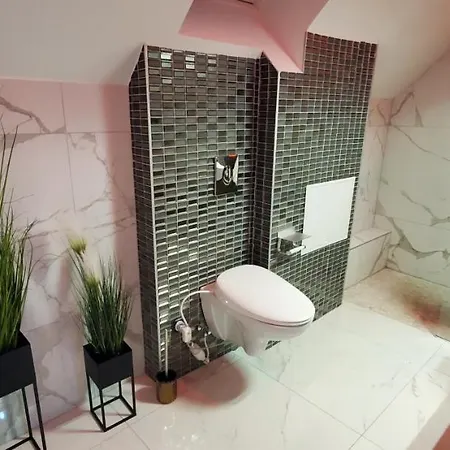 Aog Prestige Prestigehome 1 Jacuzzi Sauna Parking Colmar Villa *