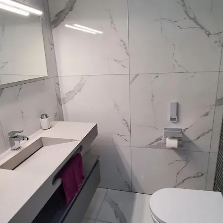 Villa Aog Prestige Prestigehome 1 Jacuzzi Sauna Parking Colmar