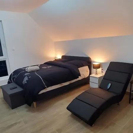 Villa Aog Prestige Prestigehome 1 Jacuzzi Sauna Parking Colmar Andolsheim