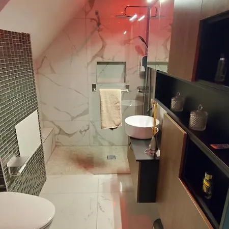 Aog Prestige Prestigehome 1 Jacuzzi Sauna Parking Colmar