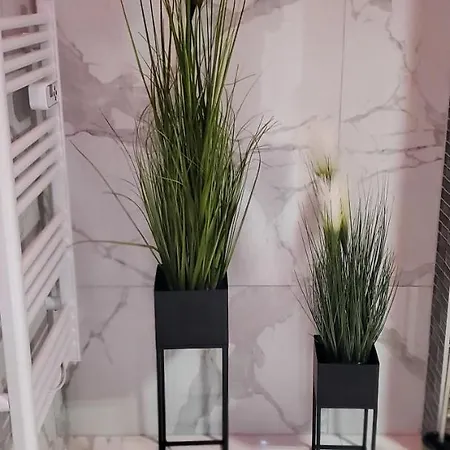 Aog Prestige Prestigehome 1 Jacuzzi Sauna Parking Colmar Villa Andolsheim