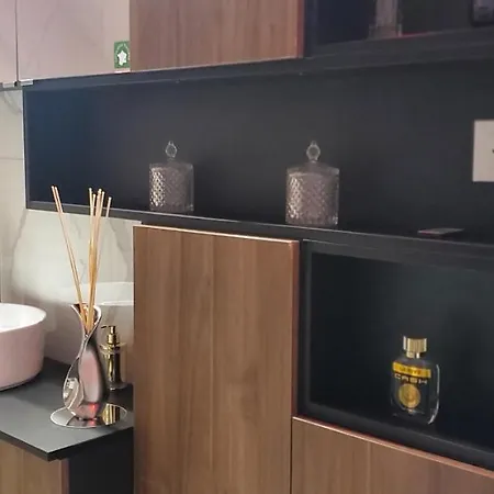 Aog Prestige Prestigehome 1 Jacuzzi Sauna Parking Colmar *